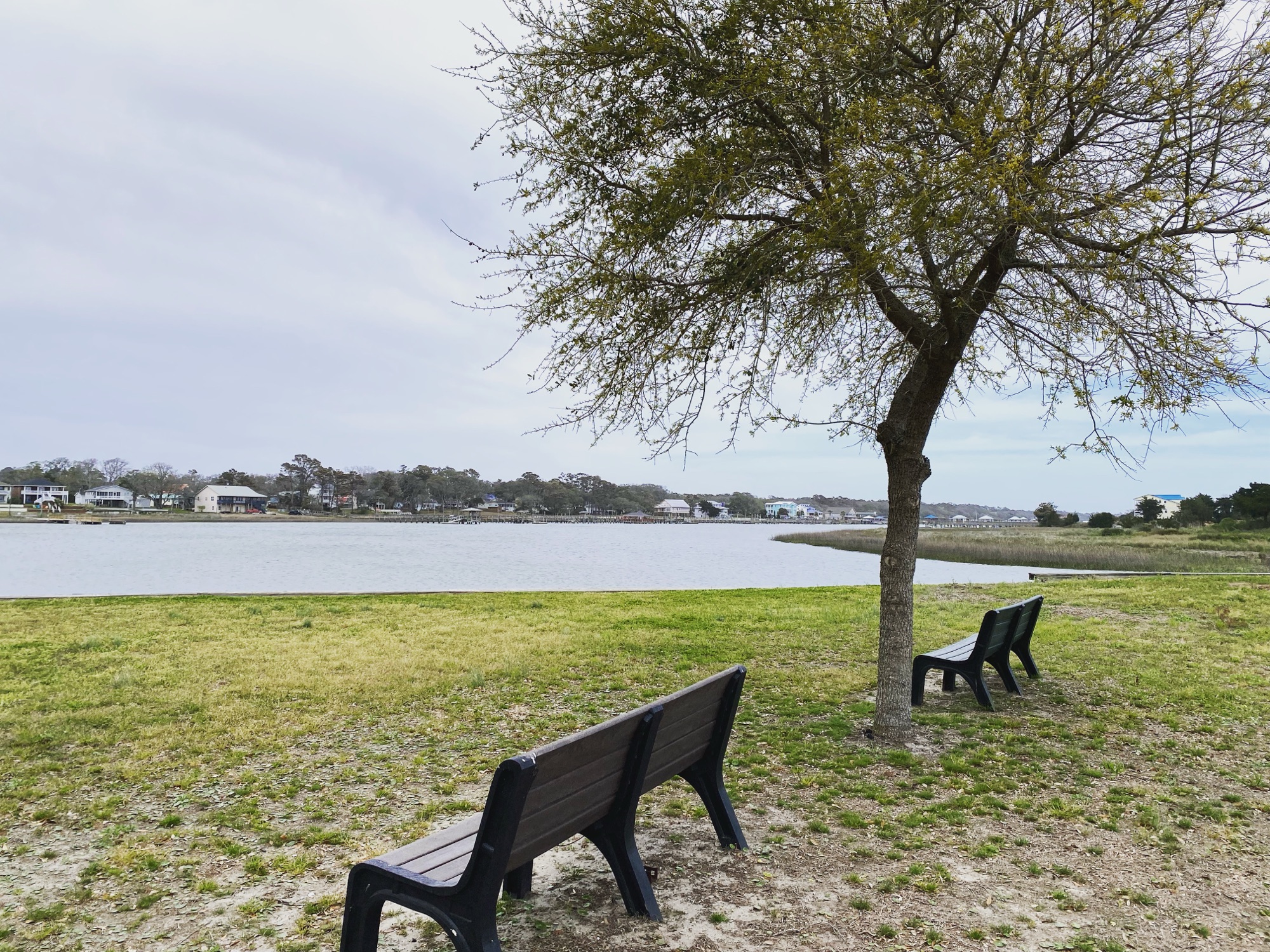 Park benches under a tree overlooking the water in Holden Beach, NC